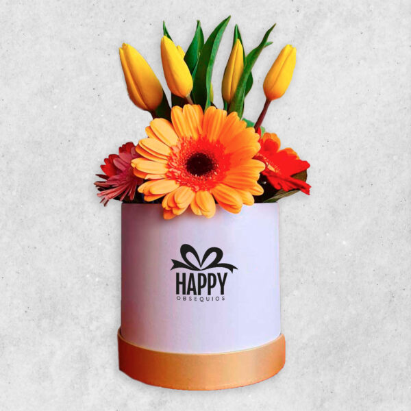 Box Gerberas y Tulipanes